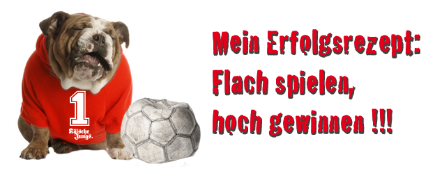 Köln Sport Shirts